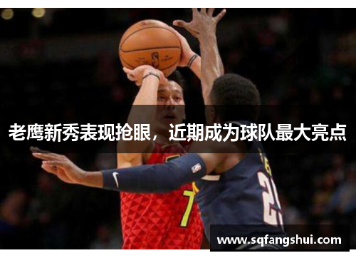 老鹰新秀表现抢眼，近期成为球队最大亮点