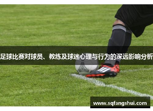 足球比赛对球员、教练及球迷心理与行为的深远影响分析