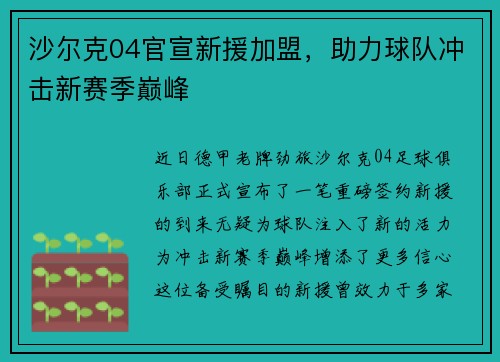 沙尔克04官宣新援加盟，助力球队冲击新赛季巅峰