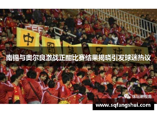 南锡与奥尔良激战正酣比赛结果揭晓引发球迷热议