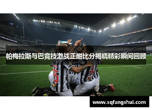 帕梅拉斯与巴竞技激战正酣比分揭晓精彩瞬间回顾