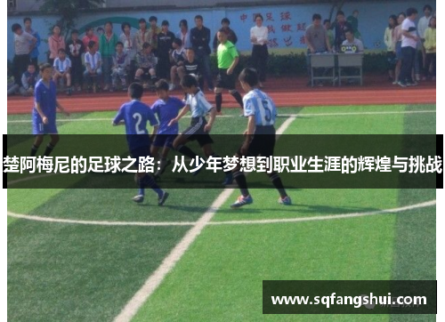 楚阿梅尼的足球之路：从少年梦想到职业生涯的辉煌与挑战