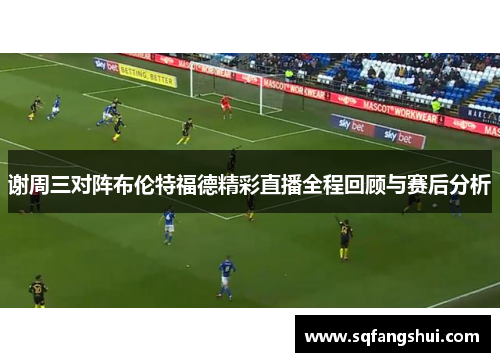 谢周三对阵布伦特福德精彩直播全程回顾与赛后分析